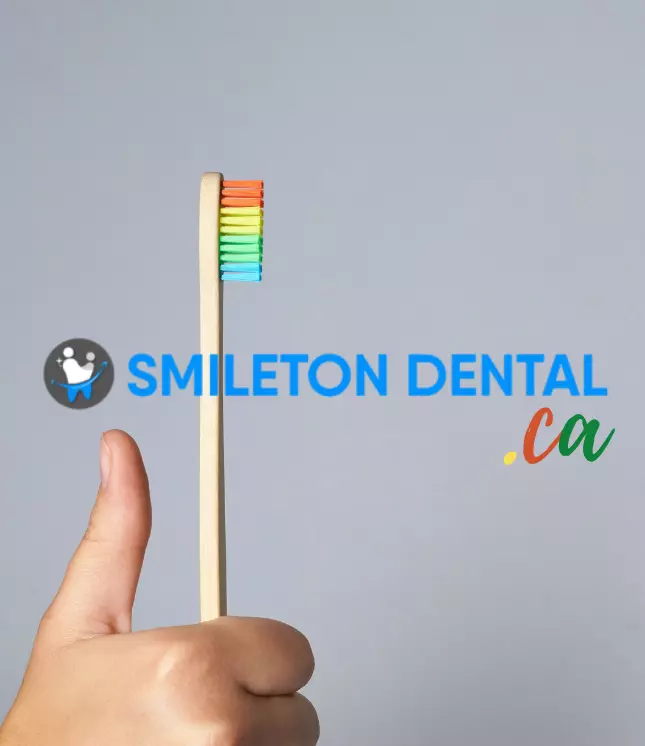 Smileton Dental :  Client of Letsflydigital.com